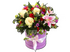 Фламинго