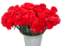 Гвоздика