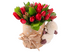 Фаворит