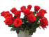 Шадденли