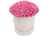  Ланком