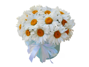 Снежная королева