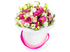 Фламинго