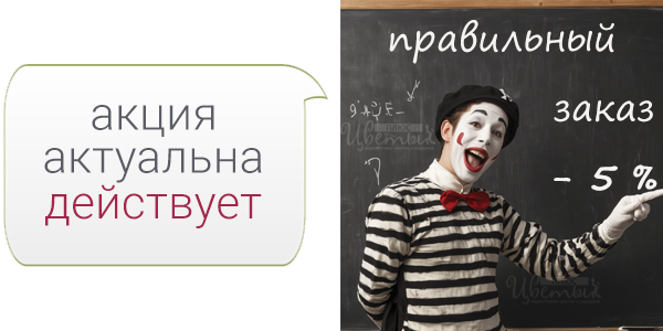 АКЦИЯ все товары со скидкой 5%